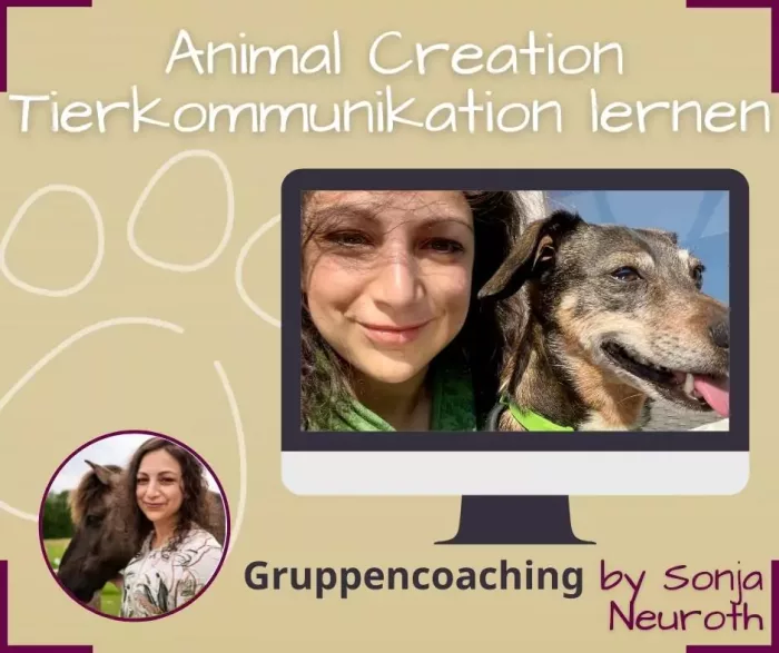 Tierkommunikation lernen Animal Creation