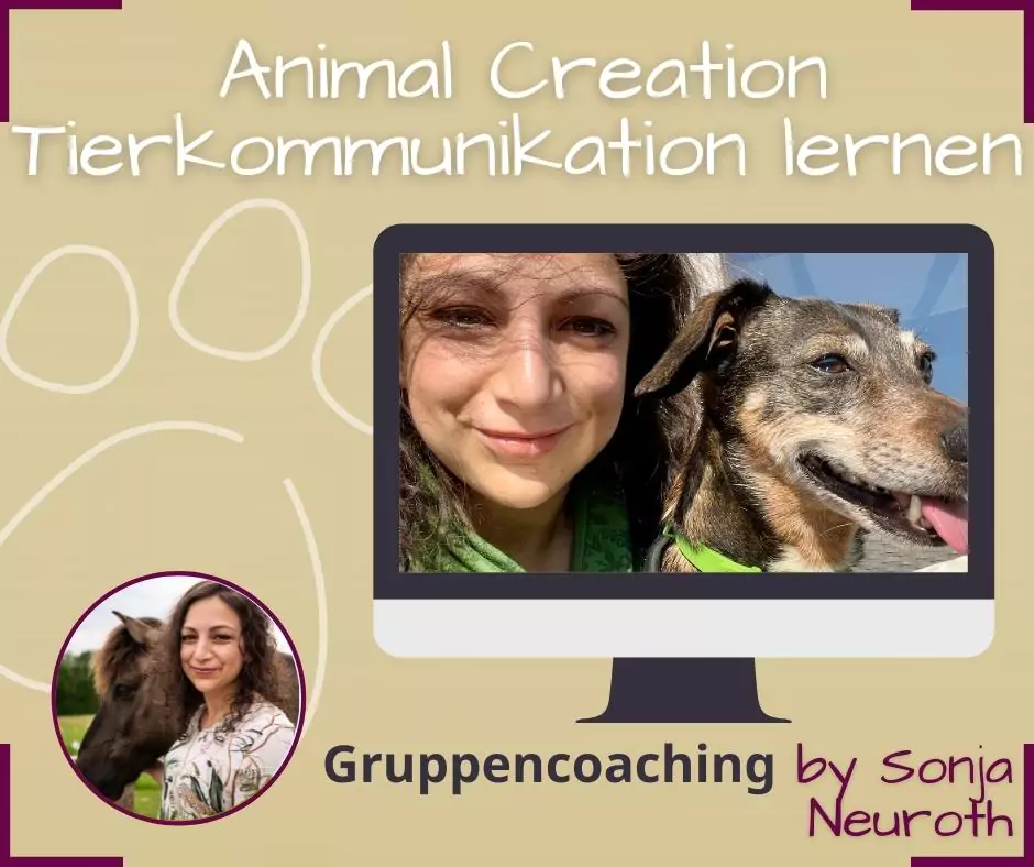 Tierkommunikation lernen Animal Creation